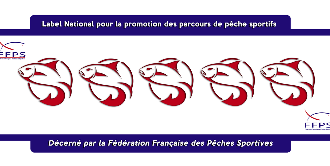 CHAMPIONNAT R1 FEEDER