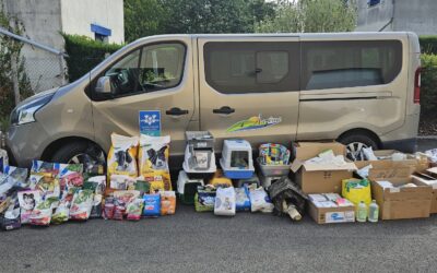 [Remerciements] Solidarité pour les animaux de Gironde